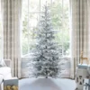 Noble King Flock in home
