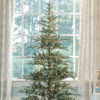 7_KingNobleFirLuxLED1 beautiful lux led light up 7 feet king noble fir artificial Christmas tree