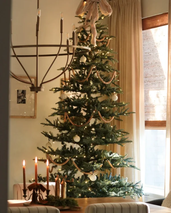 8KingNobleFir KingNobleFir