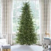 AlpineFirSlimLED Alpine Fir Slim LED