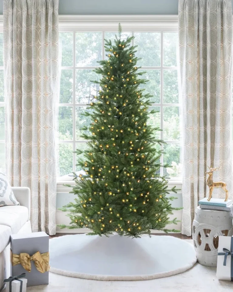 Alpine Fir Slim LED