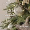 Alpine Tips on the tree