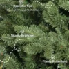 Aspen Fir tips