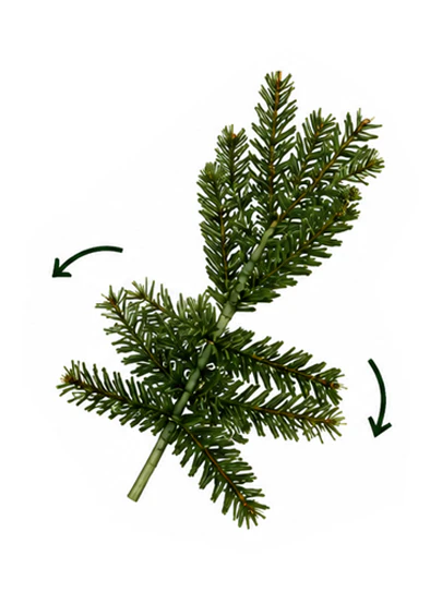 Step 3 Visual