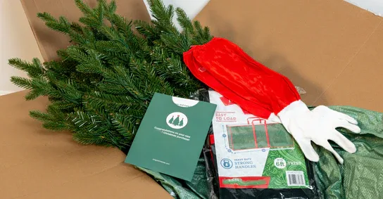 What's in the Box?