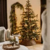 king noble fir tree in home