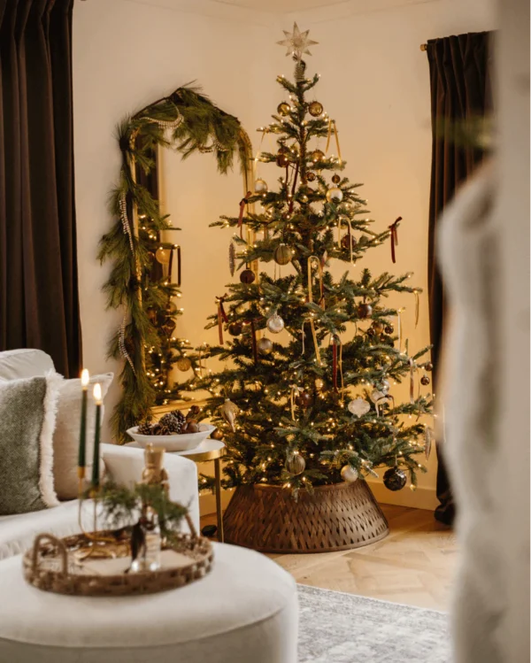king noble fir tree in home