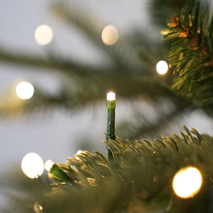Warm White LED Lights
