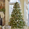 Alpine Fir full decorated as seen at home