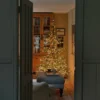 beautiffuly led light up fir king noble tree