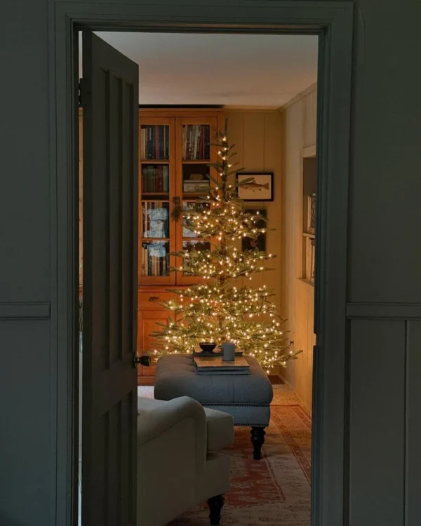 beautiffuly led light up fir king noble tree
