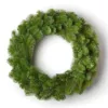 King_Douglas_Fir_Wreath Unlit King Douglas Fir Wreath featuring dense green pine needles displayed against a white background.