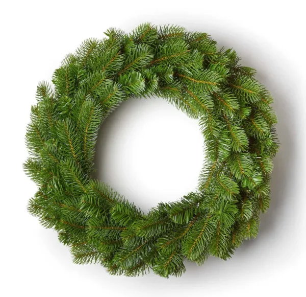 King_Douglas_Fir_Wreath Unlit King Douglas Fir Wreath featuring dense green pine needles displayed against a white background.