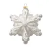 SNOWLAKE Full view of now Flake Ornaments