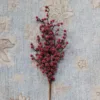 Single frosted red Sugar Berry Pick stem on a patterned carpet background.