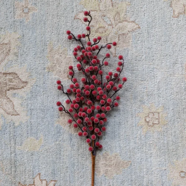Single frosted red Sugar Berry Pick stem on a patterned carpet background.